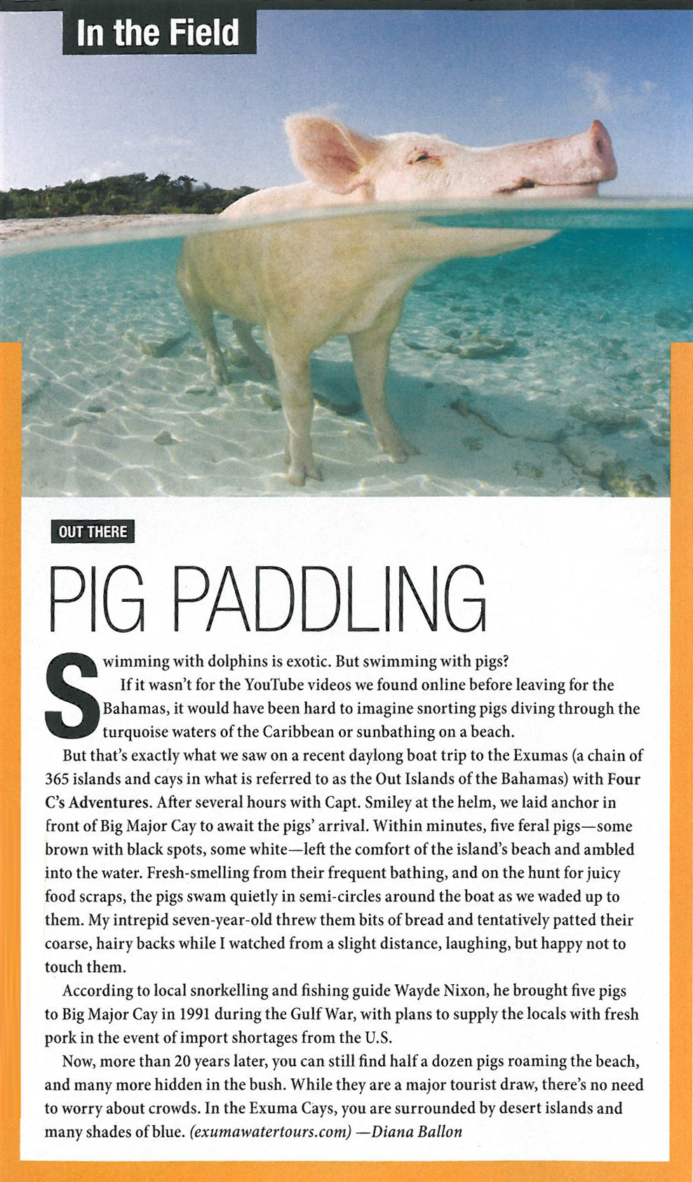 Pig Paddling